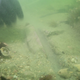 One of the stones found when the diving police unit checked out the site in 2020.